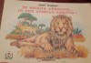 IN SAVANA AFRICANA JOZEF PAVLOVIC