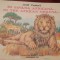 IN SAVANA AFRICANA JOZEF PAVLOVIC