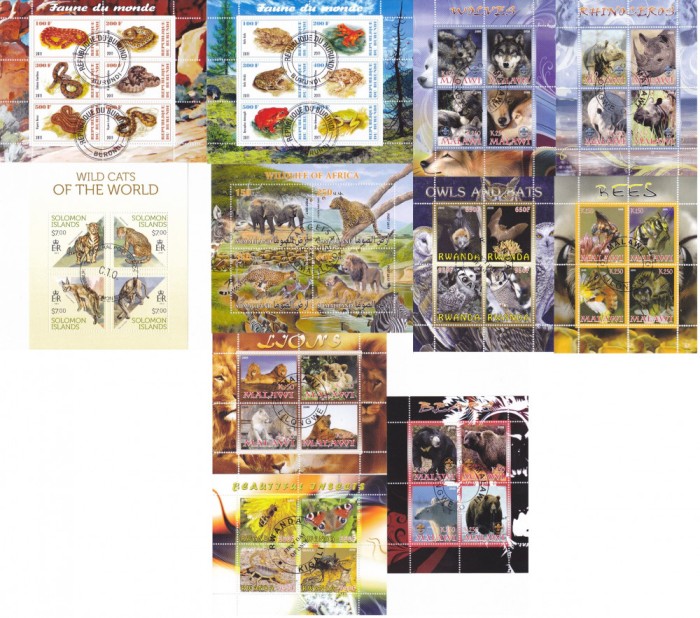 COLITE 11 buc. diferite - ANIMALE
