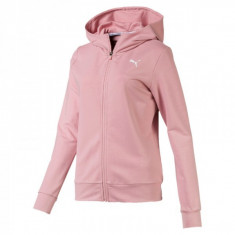 Bluza Puma MODERN SPORT FZ LOGO HOODY foto