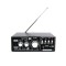 Amplificator bass, tip statie, profesional, cu bluetooth, putere 10W, numar canale 2, cu telecomanda, negru