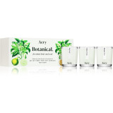 Aery Botanical set cadou