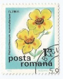 *Romania, LP 893/1975, Flori de camp, 1,75 lei, eroare 1, oblit.