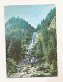 RF159 - Carte Postala - Muntii Rodnei. Cascada Izvorul Cailor, necirculata 1990