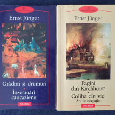 Pagini din Kirchhorst. Coliba din vie. Gradini si drumuri – Ernst Junger