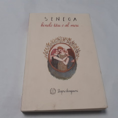 BINELE TAU E AL MEU , DESPRE BINEFACERI / DE BENEFICIIS DE SENECA LUCIUS ANNAEUS