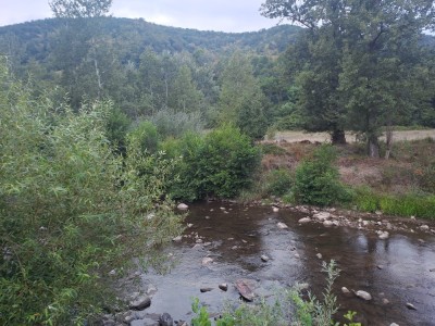 V&amp;acirc;nd teren Extravilan in suprafata totala de 2230 mp in comuna Mehadia, jud. Caras-Severin (8 km de Baile-Herculane ) foto