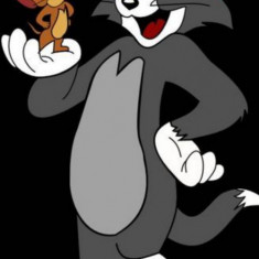 Husa Personalizata ALLVIEW X3 Soul Pro Tom and Jerry