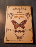 Broderie mecanica Aurelia Sillo