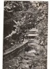 CPIB 18098 CARTE POSTALA - SLANIC MOLDOVA, ALEEA IZVOARELOR, RPR, Circulata, Fotografie