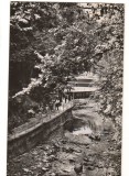 CPIB 18098 CARTE POSTALA - SLANIC MOLDOVA, ALEEA IZVOARELOR, RPR, Circulata, Fotografie