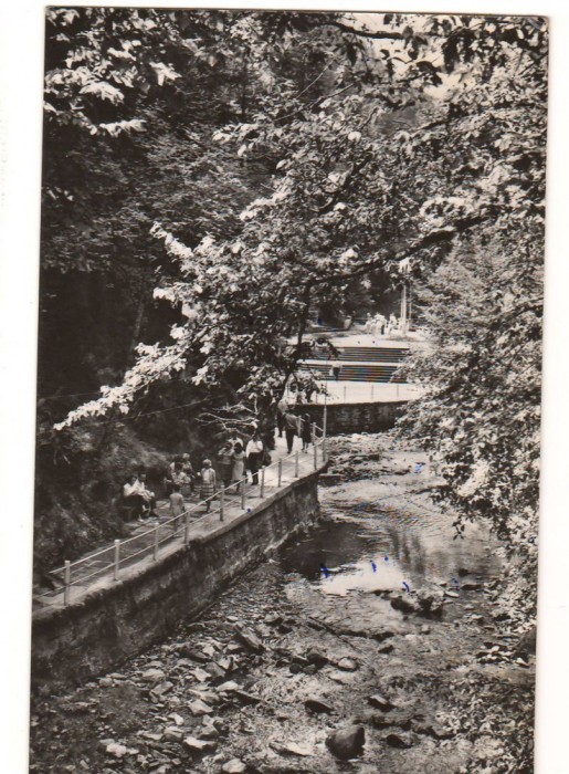 CPIB 18098 CARTE POSTALA - SLANIC MOLDOVA, ALEEA IZVOARELOR, RPR