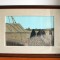 Maicute - pictura originala ulei pe panza cu passepartout, rama &amp; sticla 56x41cm