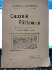 RAZBOIUL EUROPEAN CAUZELE RAZBOIULUI , DOCUMENTE , 1914 foto