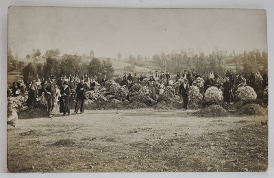 FOTOGRAFIE DE GRUP , LA TARA , FEMEI CU COROANE DE FLORI , CARTE POSTALA , INCEPUTUL SEC. XX foto