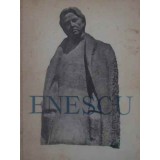 ENESCU-ANDREI TUDOR-110672