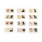 Set puzzle Potriveste umbra, Viga