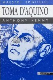 Cumpara ieftin Toma d&#039;Aquino - Anthony Kenny, 1998, Humanitas, Maestrii Spiritului, Crestinism, Stare Foarte Buna, 146 Pagini