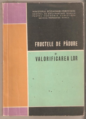 Fructele de padure si valorificarea lor foto