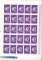 icon 5
