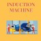 Design and Development of Dual Stator Induction Machine