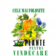 Cele mai folosite 17 plante pentru vindecare | Eugen Giurgiu