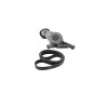 Set Curea transmisie VW PASSAT Variant 3C5 DAYCO KPV250, Volkswagen