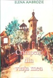 Crampeie din viata mea - Elena Ambrozie - Roman - Editura 2005 - 147 pagini - Carte Beletristica