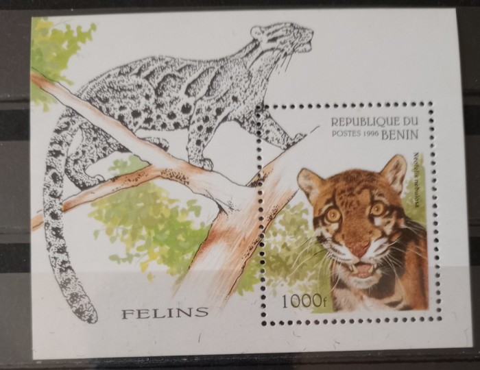 Benin 1996 tigru, leopard animale faună bloc nestampilat