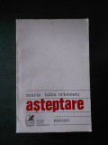 MARIA LUIZA CRISTESCU - ASTEPTARE