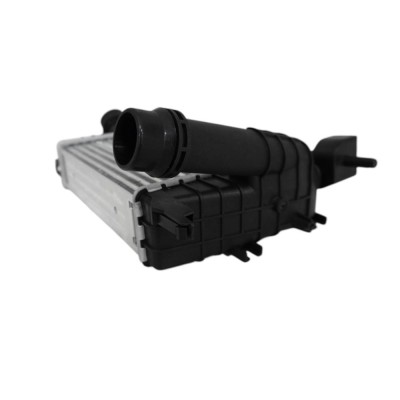 Radiator Intercooler 540732 TH.03.035 foto