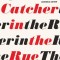 The Catcher in the Rye