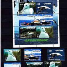 Guinea 1998 Birds, Ships, Greenpeace, set+perf. sheetlet, MNH AL.026