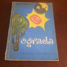 Ograda - Calin Gruia, 1965 -roman