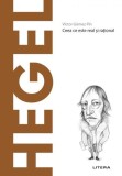 Hegel Vol. 19 Hardcover Filosofie Istorie Victor Gomez Pin Editura Litera