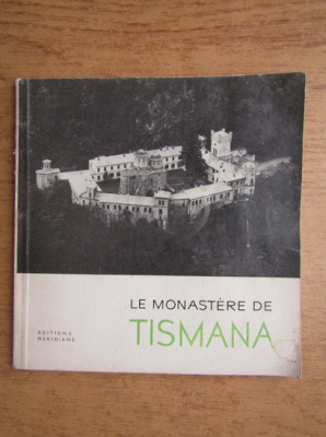 Rada Teodoru - Le monastere de tismana foto