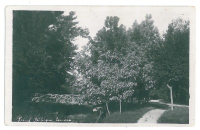 4353 - CRAIOVA, Bibescu Park, Romania - old postcard, real PHOTO - unused foto