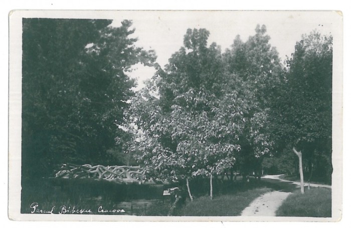 4353 - CRAIOVA, Bibescu Park, Romania - old postcard, real PHOTO - unused