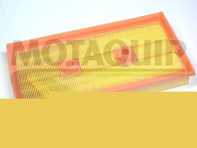 MOTAQUIP VFA1170 Filtru aer foto