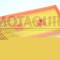 MOTAQUIP VFA1170 Filtru aer