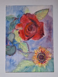 Pictura in acuarela neinramata - trandafir si floarea soarelui, 2004, 17 x 24 cm, Flori, Realism