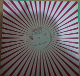 Disc Vinil Ptr.Manualul L.Rusa- Lic I - C,S, 053-Electrecord