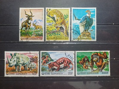 COMORE 1976-ANIMALE PROTEJATE-SERIE CTO foto