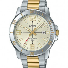 Ceas Barbati, Casio, Collection MTP-VD MTP-VD01SG-9B - Marime universala