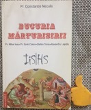 Bucuria mărturisirii Necula, Constantin,