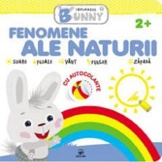 Fenomene ale naturii. Iepurasul Bunny