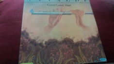 DISC VINIL VIVALDI GAVRIL COSTEA FLAUT foto