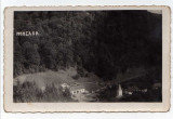 BAILE MONEASA VEDERE PANORAMICA 1939 STAMPILA FOTO SILAGHI SEBIS, Necirculata, Fotografie