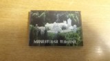 D1 - Magnet frigider - tematica turism - Manastirea Tismana - Romania 13