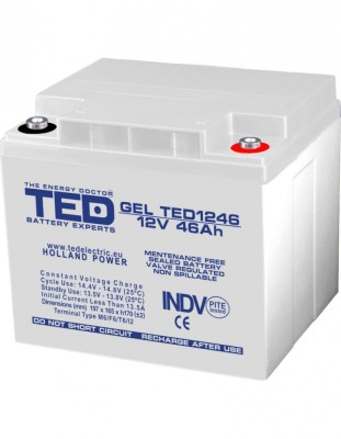 Acumulator AGM VRLA 12V 46A GEL Deep Cycle 197mm x 166mm x h 171mm M6 TED Battery Expert Holland TED003454 (1) SafetyGuard Surveillance foto